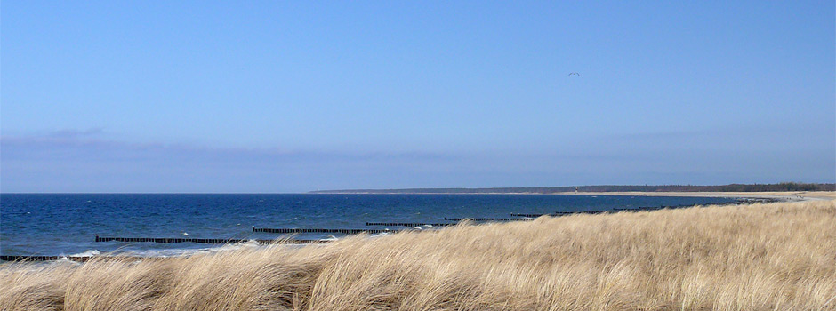 Ferienwohnung Ostseebad Ahrenshoop Boddenweg 8