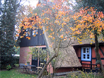 Ferienwohnung Ostseebad Ahrenshoop Boddenweg 8